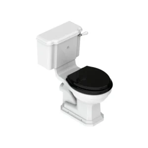 Lefroy Brooks Lissa Doon Close Coupled Toilet