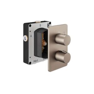 Abacus 1 Outlet Thermostatic Shower Valve with Round Handles