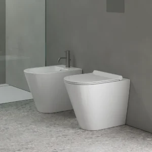 Back To Wall Toilets
