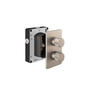Abacus 1 Outlet Thermostatic Shower Valve with Iso Pro Handles