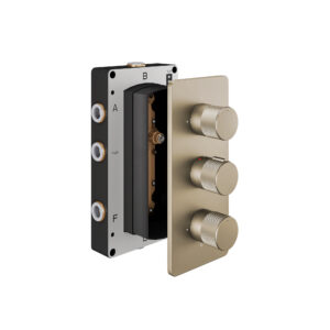 Abacus 3 Outlet, 3 Controls Thermostatic Shower Valve with Iso Pro Handles