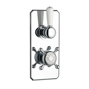 Swadling Invincible Single Controlled Thermostatic Shower Mixer With Plate (exc. Rough)