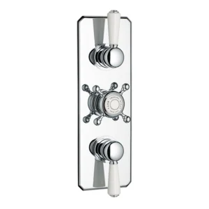 Swadling Invincible Double Controlled Thermostatic Shower Mixer With Plate (exc. Rough)