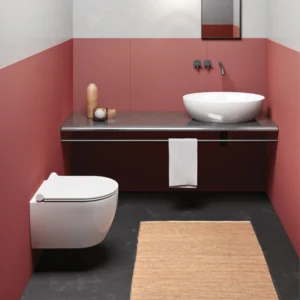 Gsi Pura 46cm Swirlflush® Wall Mounted Toilet, Inc. Seat